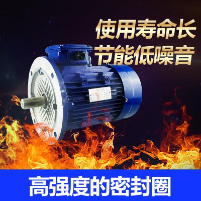 MS系列鋁殼電動機