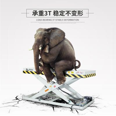 叉車(chē)位升降機(jī)